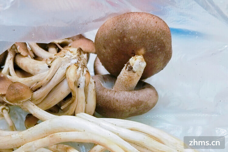 补硒食谱有哪些