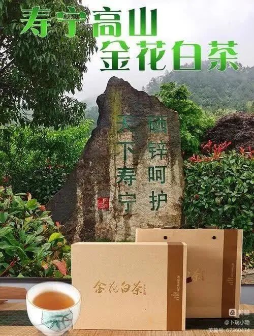 吃什么能补硒锌