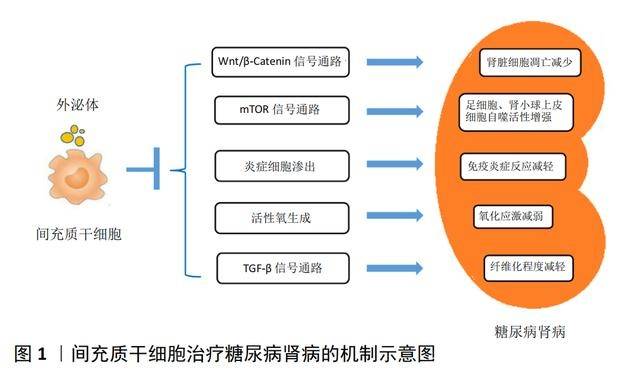 补硒治好糖尿?。ú≈尾固悄蚝梦杏寐穑?硒宝网