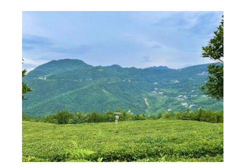 最好的补硒乒品(补硒保健品哪种好)-硒宝网