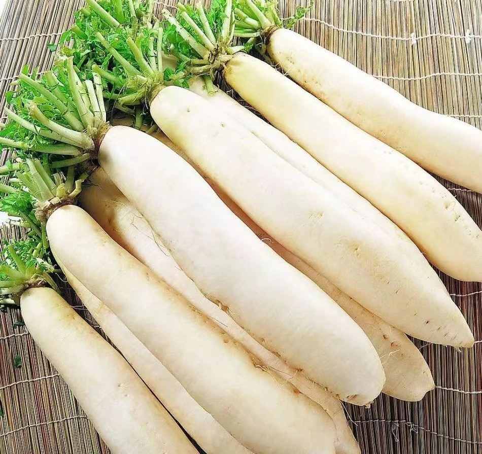 补麦芽硒维e片
