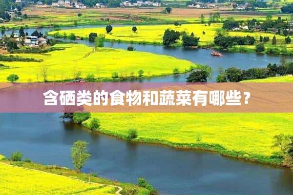含硒类的食物和蔬菜有哪些？