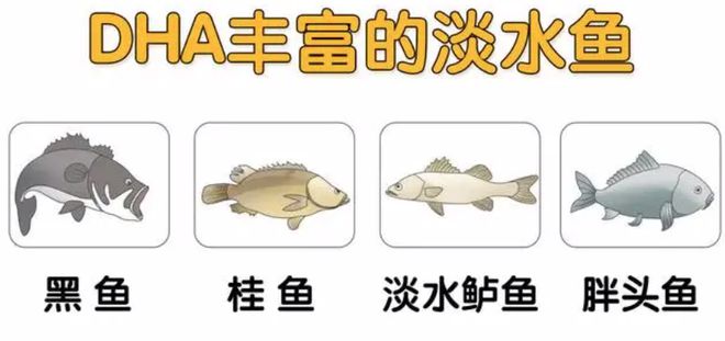 孕初期能补硒吗(孕初期能补硒元素吗)-硒宝网