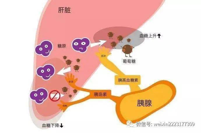 补硒会不会长痘