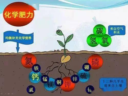 缺钾锌硒怎么补