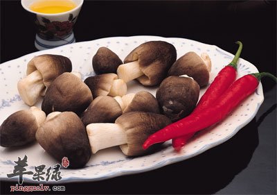 盘子里的蘑菇.jpg
