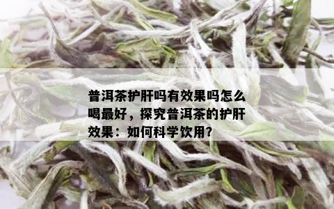 普洱茶护肝吗有效果吗怎么喝更好，探究普洱茶的护肝效果：如何科学饮用？