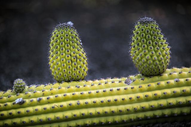 提高精子质量的六种方法