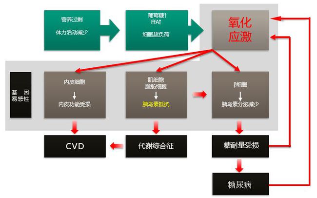 糖尿病能补硒吗