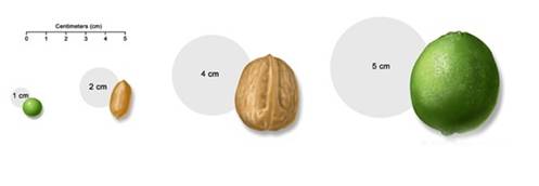 鱼鳞病能补硒吗(鱼鳞有补钙的功效吗)-硒宝网