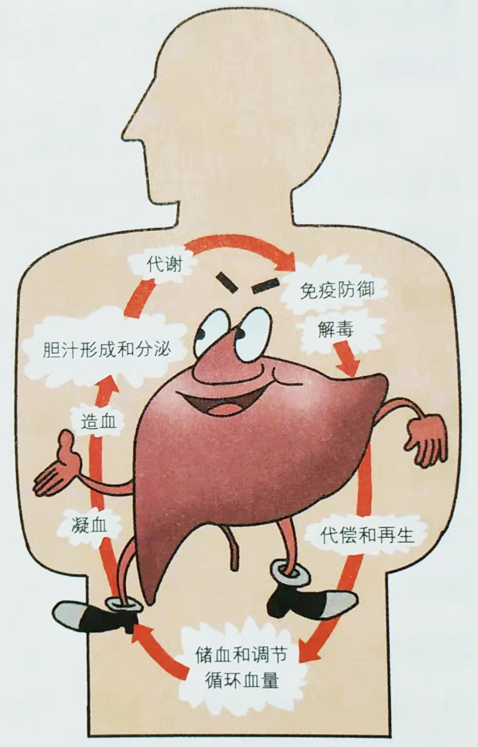 鱼鳞病能补硒吗