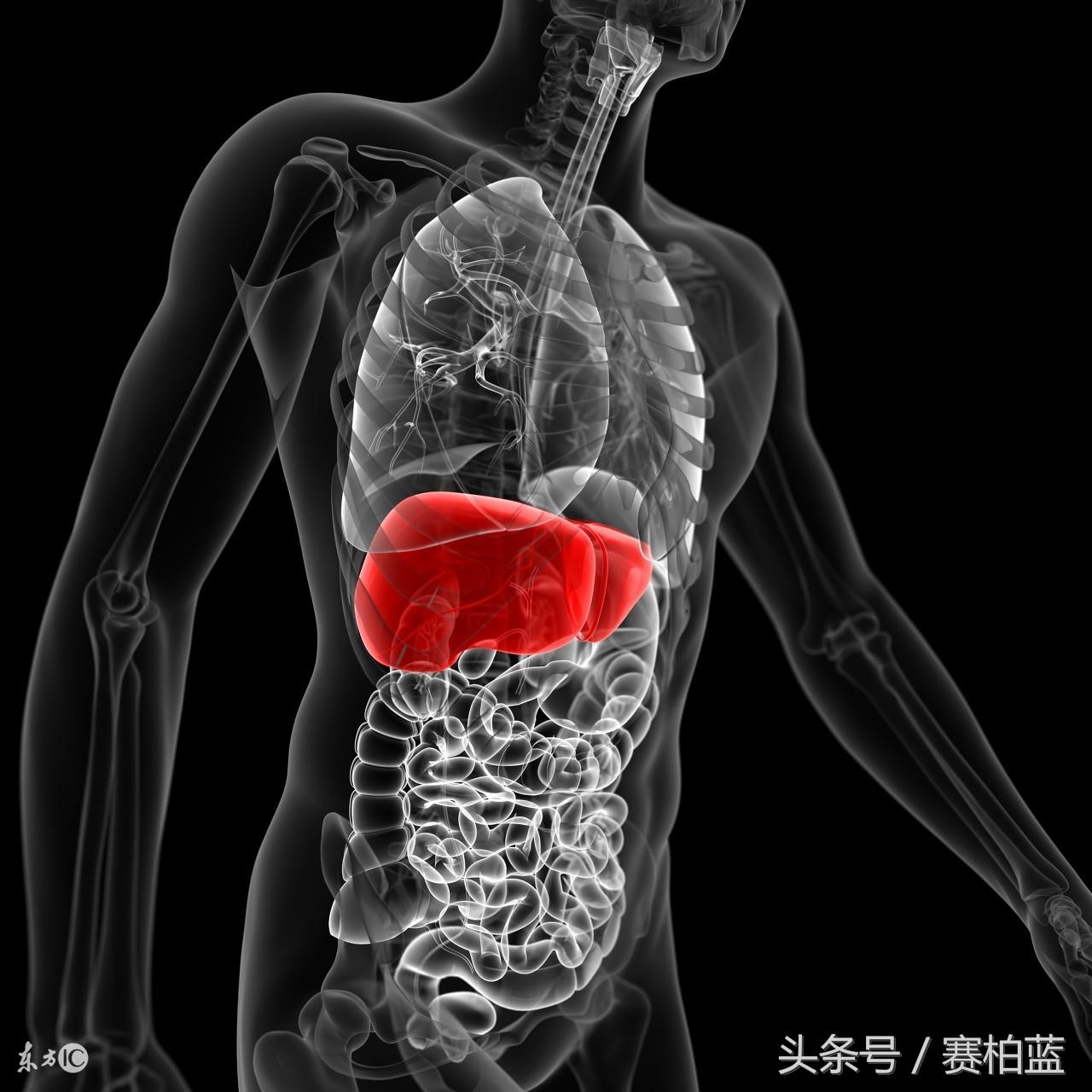 脂肪肝能补硒吗(肝脂肪能补硒嘛)-硒宝网