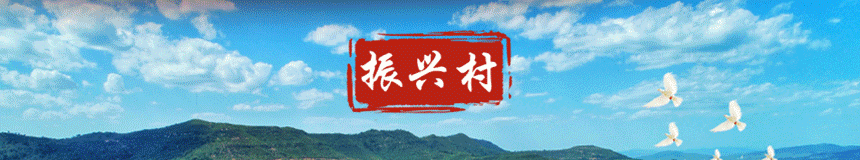 山西的富硒产品