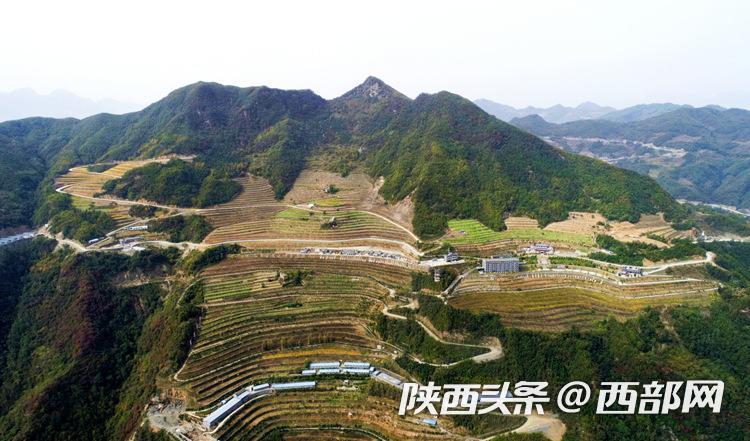 富硒农产品新闻(新闻农富硒产品有哪些)-硒宝网