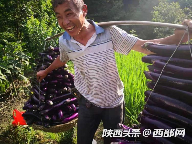 富硒农产品新闻(新闻农富硒产品有哪些)-硒宝网