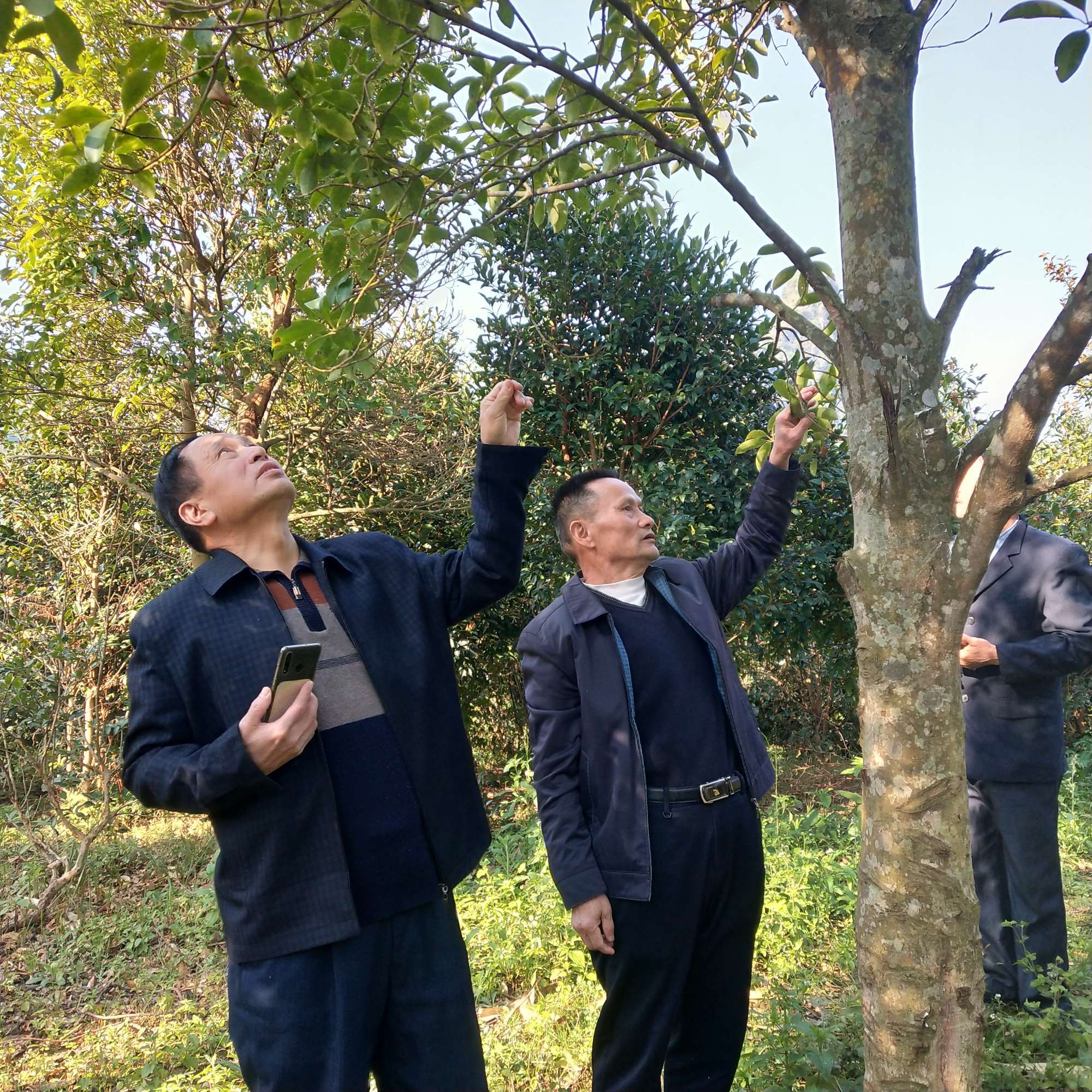 天门富硒农产品
