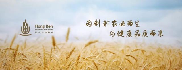 农科院富硒产品