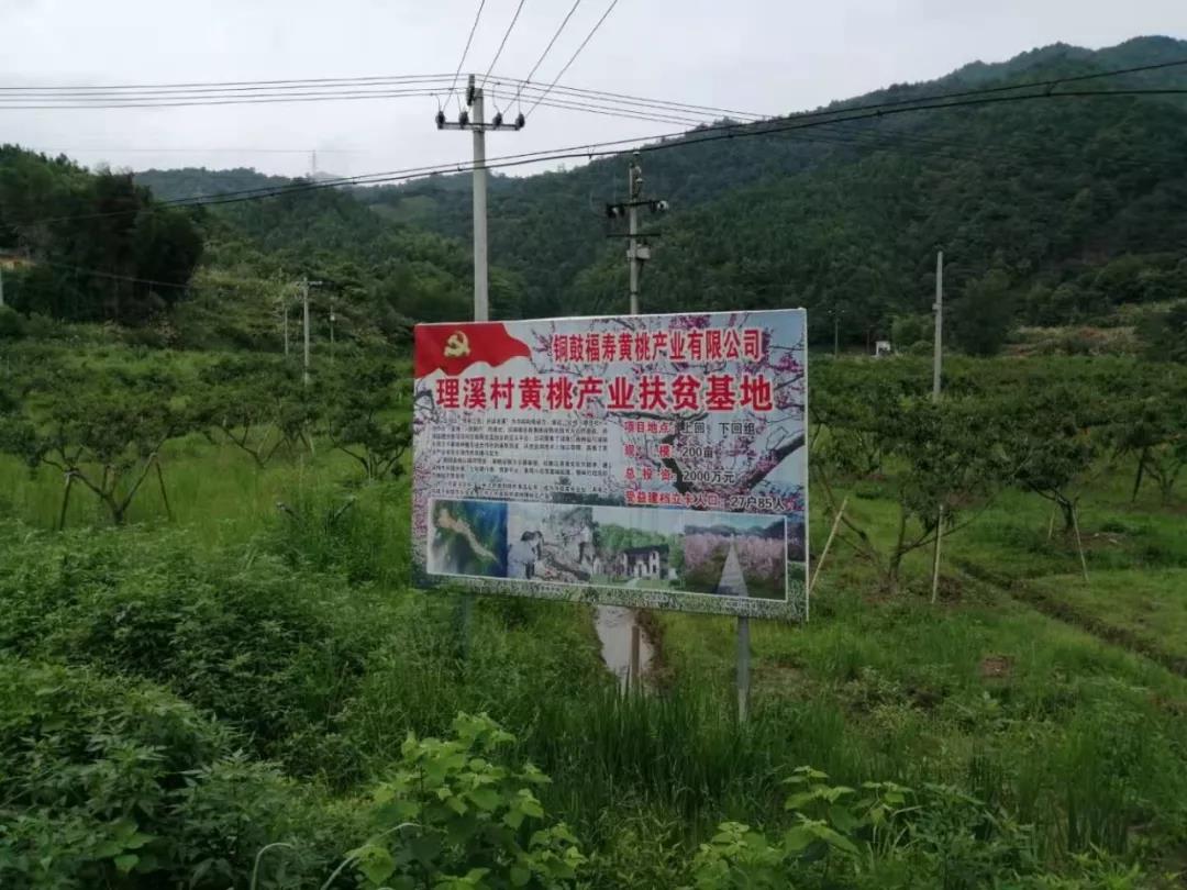 厉害了！铜鼓7个农产品通过江西省食品发酵研究所富硒认证！