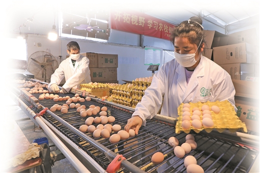 富硒农产品直供