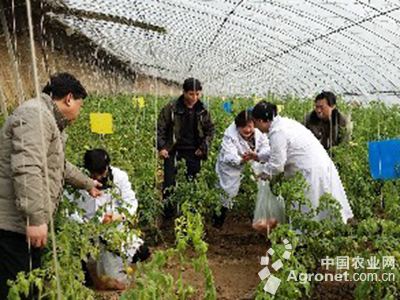 青州富硒农产品(富硒农?。?硒宝网