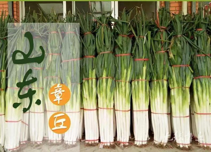 富硒农产品取名(取名农富硒产品有哪些)-硒宝网