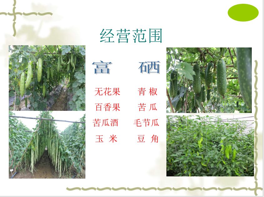 百色市富硒产品(百色市富硒产品批发市场)-硒宝网