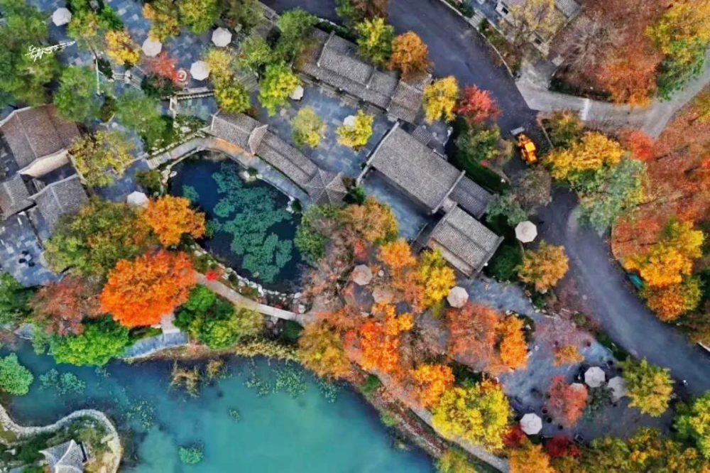 池州石台富硒茶