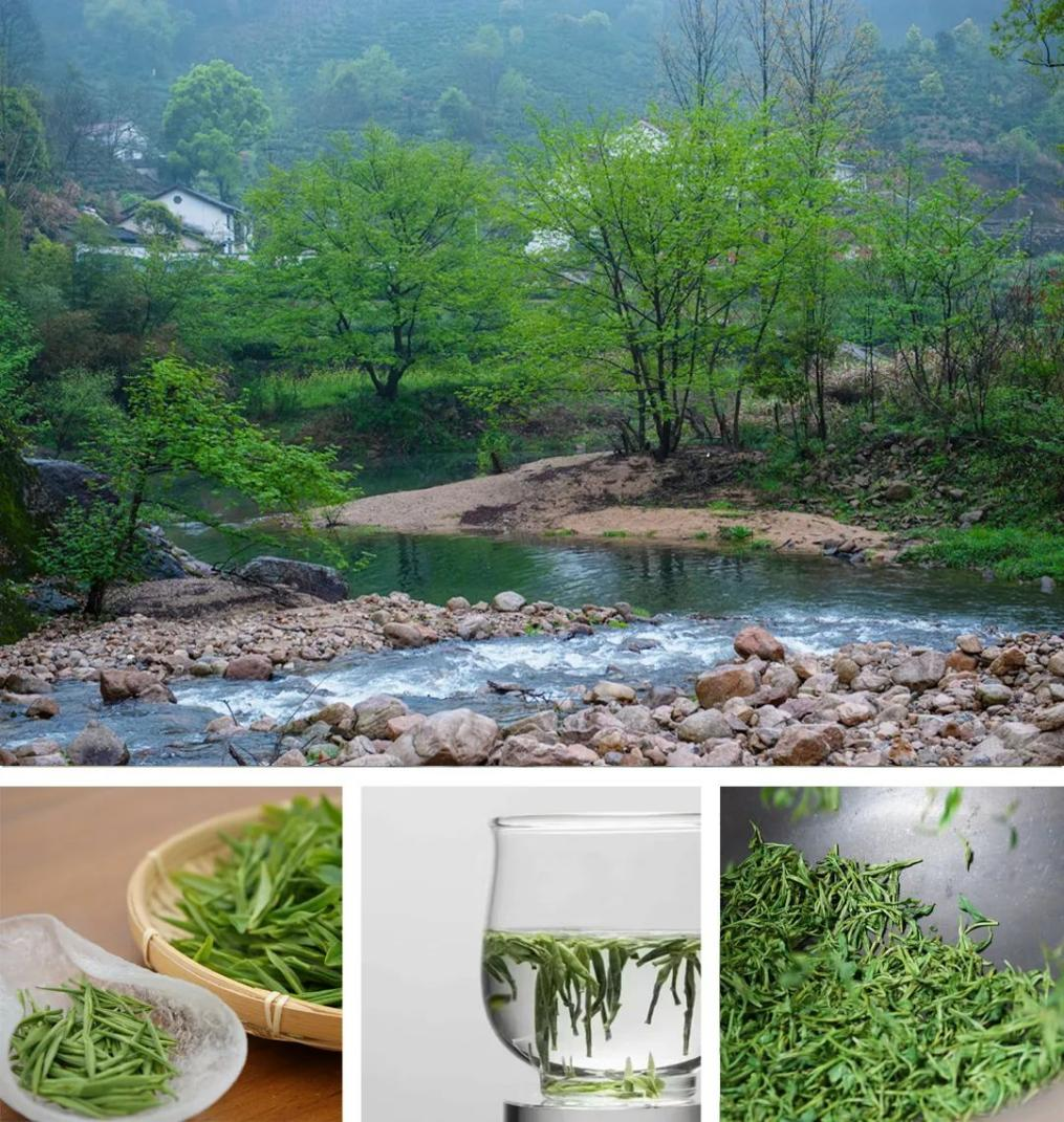 石台富硒茶文献