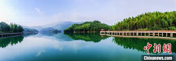 福建富硒乌龙茶(富硒乌龙茶多少钱一斤)-硒宝网
