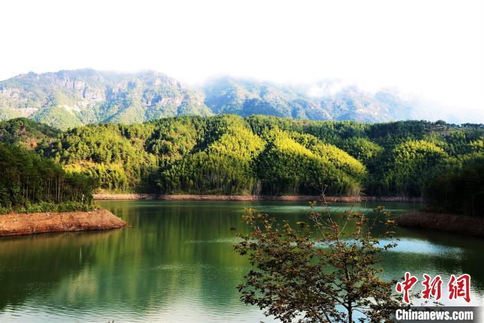 福建富硒乌龙茶(富硒乌龙茶多少钱一斤)-硒宝网