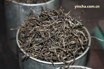 吉林富硒普洱茶批发供应厂家