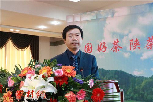 安康富硒茶白茶