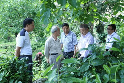 安康富硒茶优势