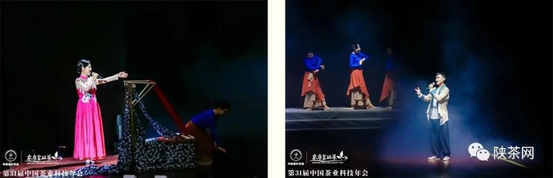 紫阳富硒茶展示