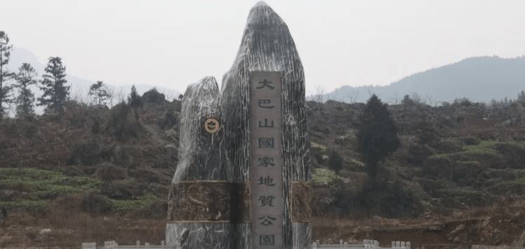 达州富硒茶介绍