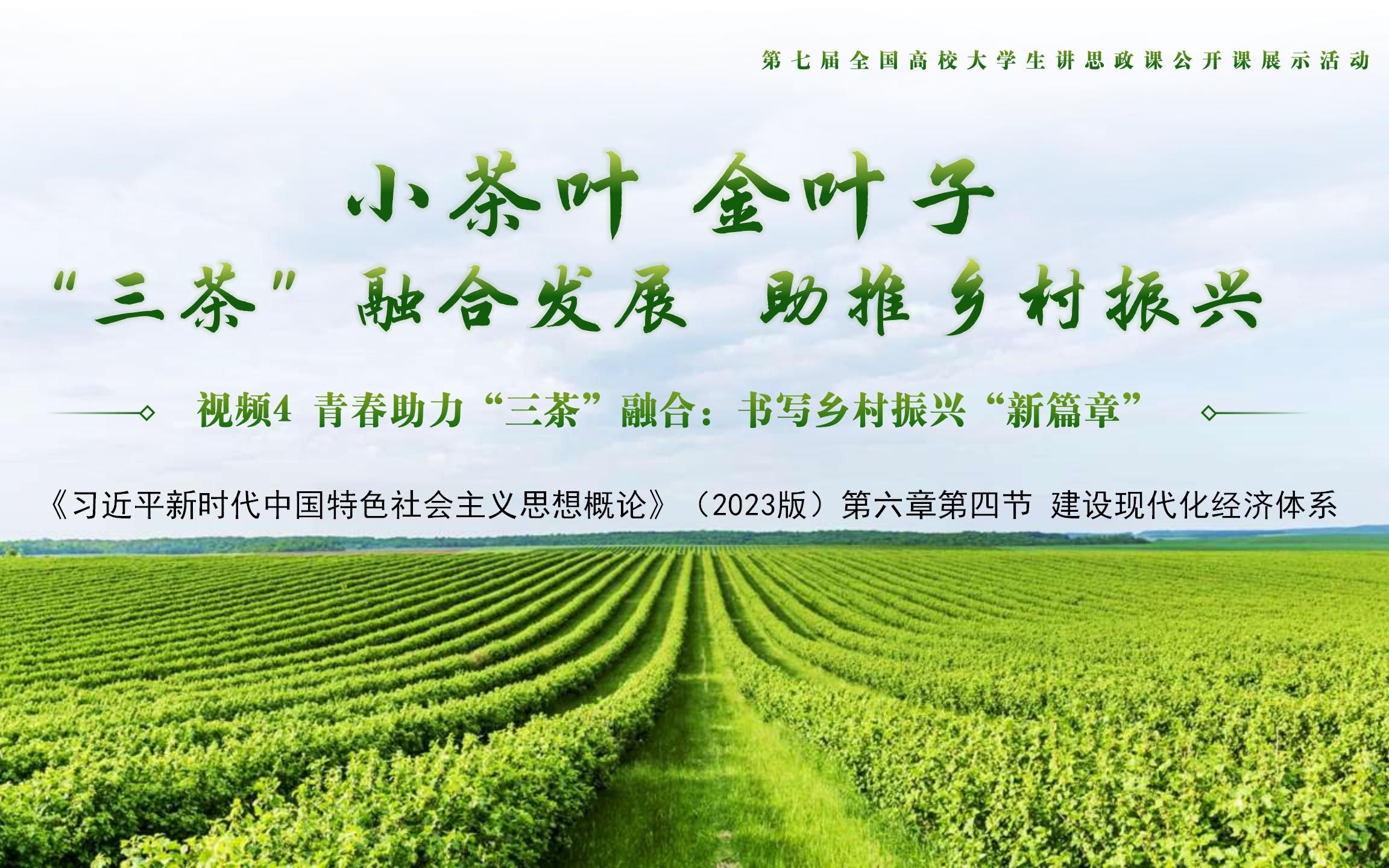 紫阳富硒茶环境