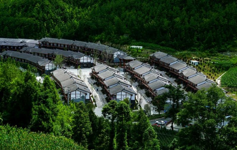 综合产值要实现两年翻番 四川达州“百亿级”茶产业如何破局？