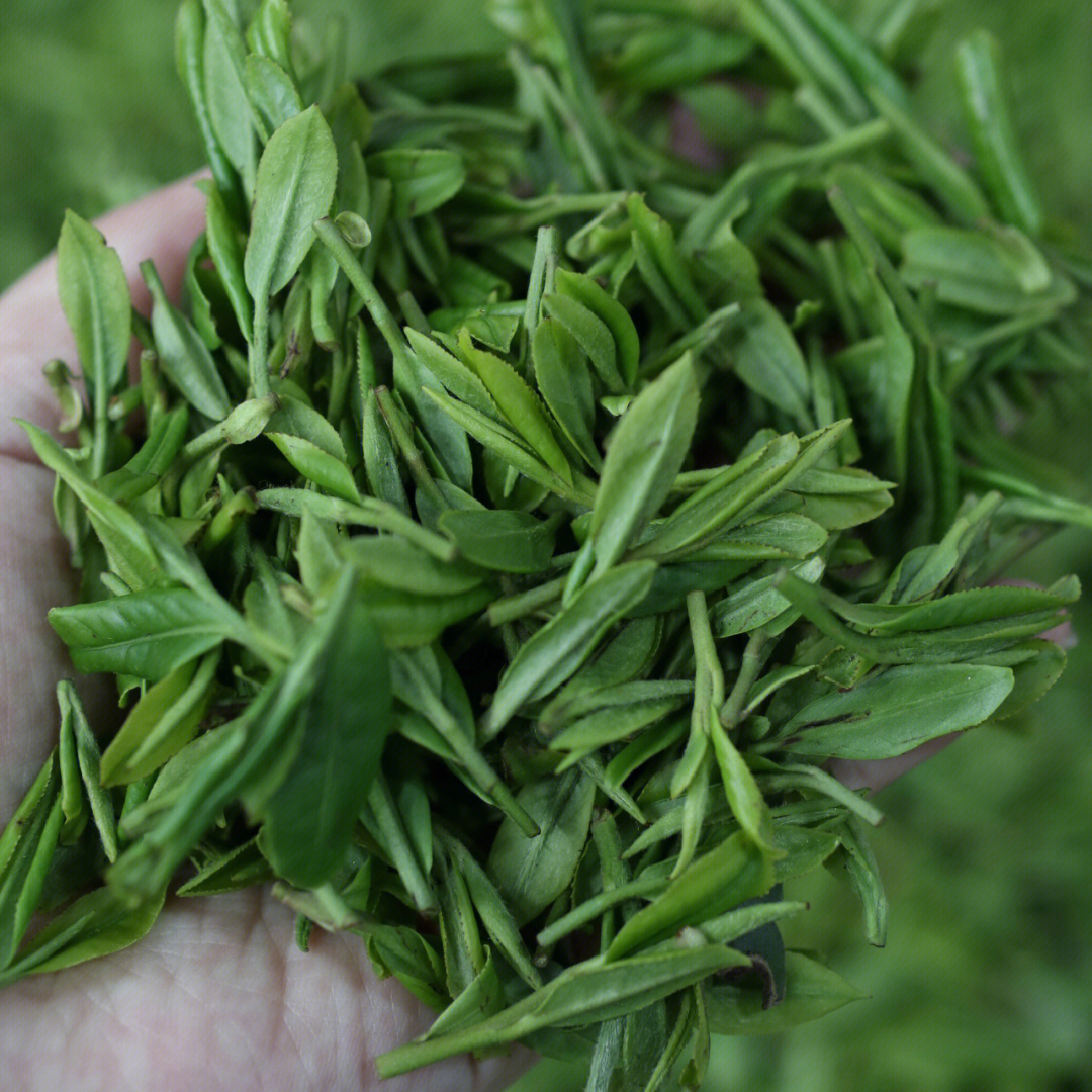 湖北富硒茶储藏