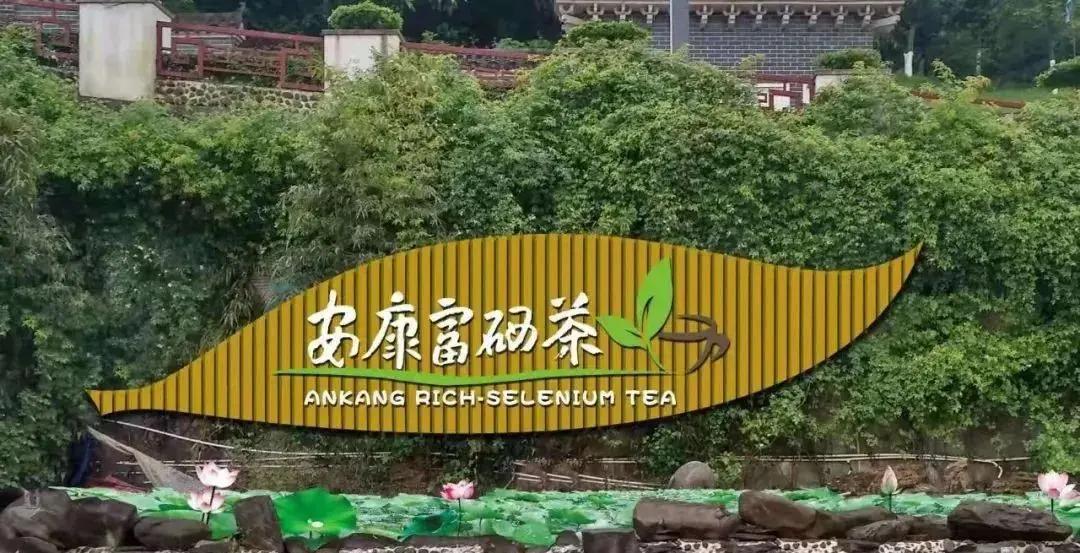 安康富硒茶品质