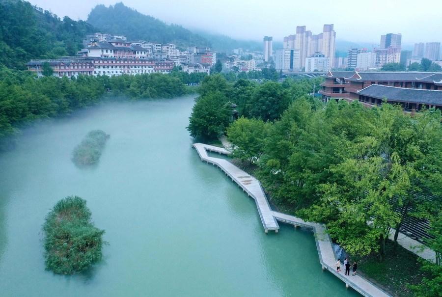 湖北土家富硒茶