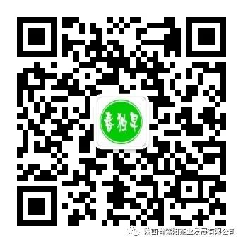 紫阳富硒茶鉴别