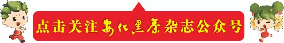 富硒茶税收调查