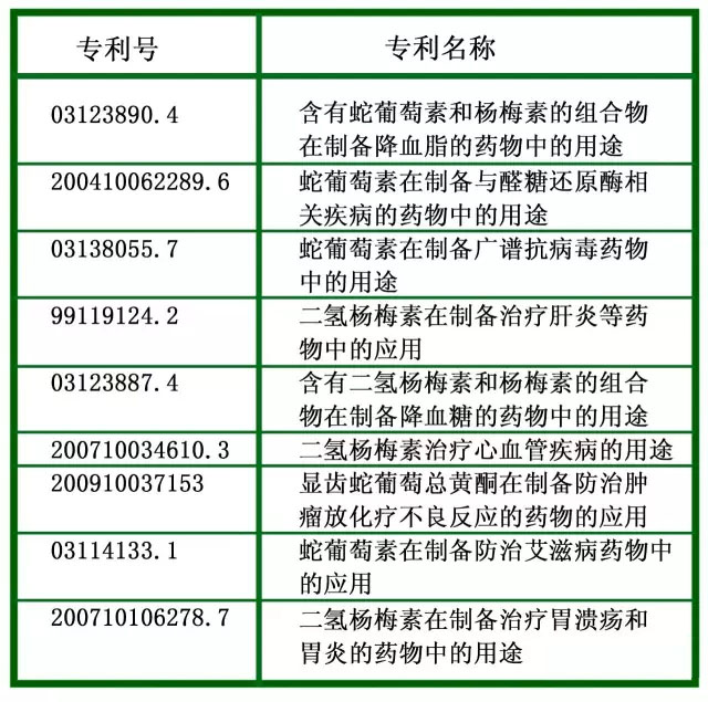 叫茶不是“茶”，藤茶为什么比普通茶叶更受欢迎？