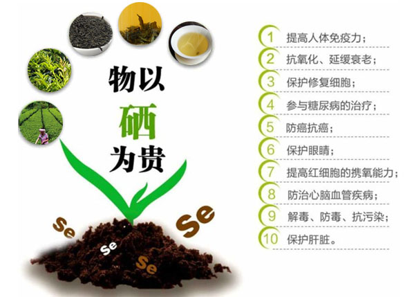 叫茶不是“茶”，藤茶为什么比普通茶叶更受欢迎？