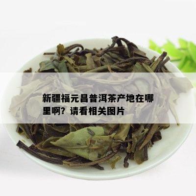 新疆福元昌普洱茶产地在哪里??？请看相关图片