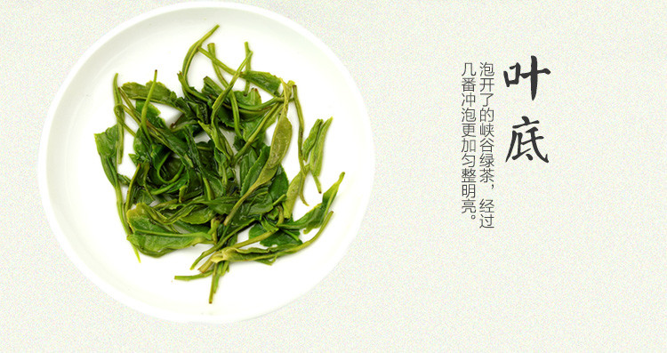紫阳富硒茶概况