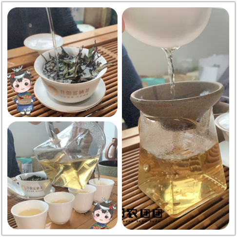 开阳富硒茶功效