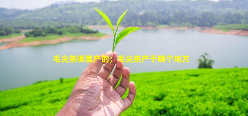 紫阳毛尖富硒茶