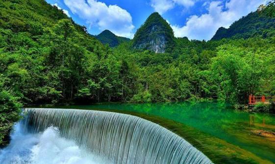 贵州高原富硒茶