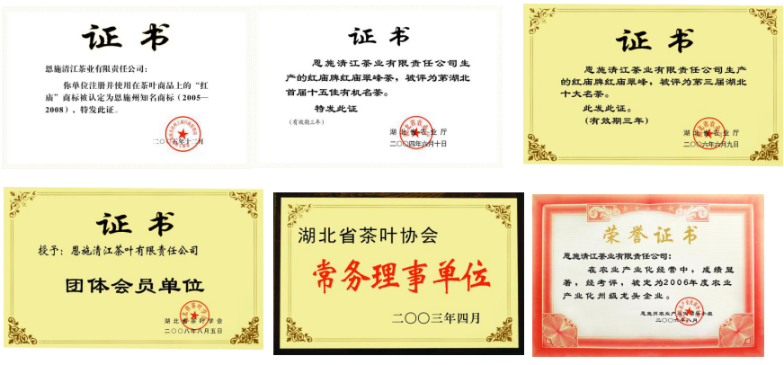 恩施富硒茶冲泡